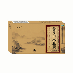 参苓白术胶囊
